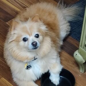 Meet your Posher, Sanctioned